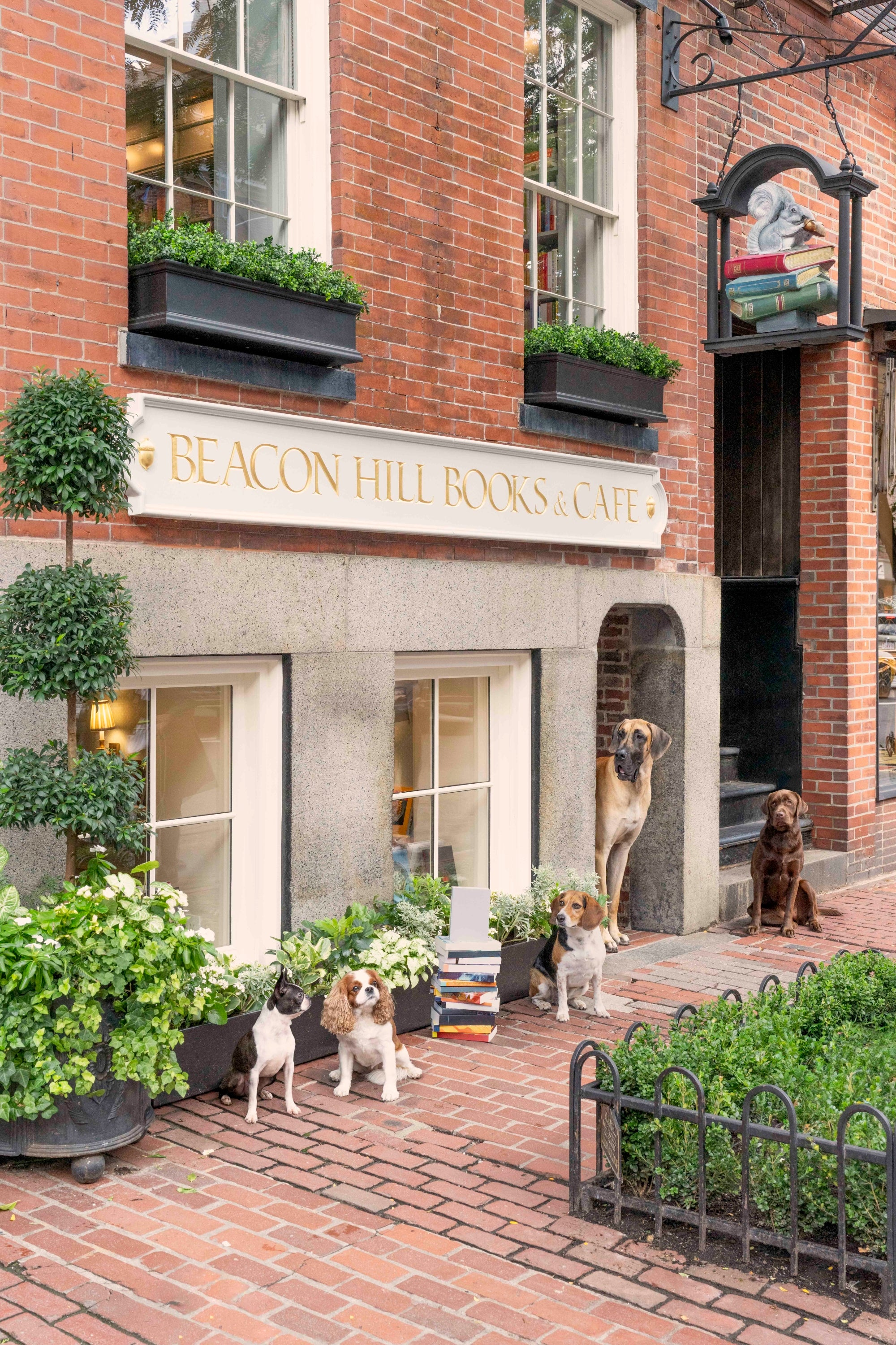 Exterior shot of Beacon Hill Books & Café with dogs and books