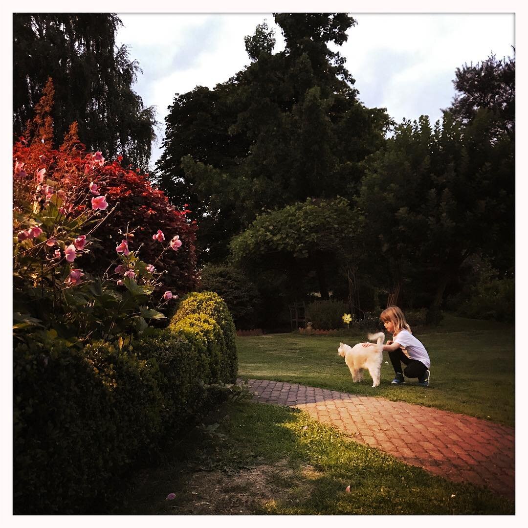 Indian Summer 🍁🌺🐿
#blessed #beautyfulgarden #le2etage #maisondhotes #hoeilaart #serreconfidentielle #serre #evenement #locationserre #eventbrussels #entre_vigne_et_passiflore #gite #vintage #confortmoderne #cabane #rental #brussels #belgium #bruxe