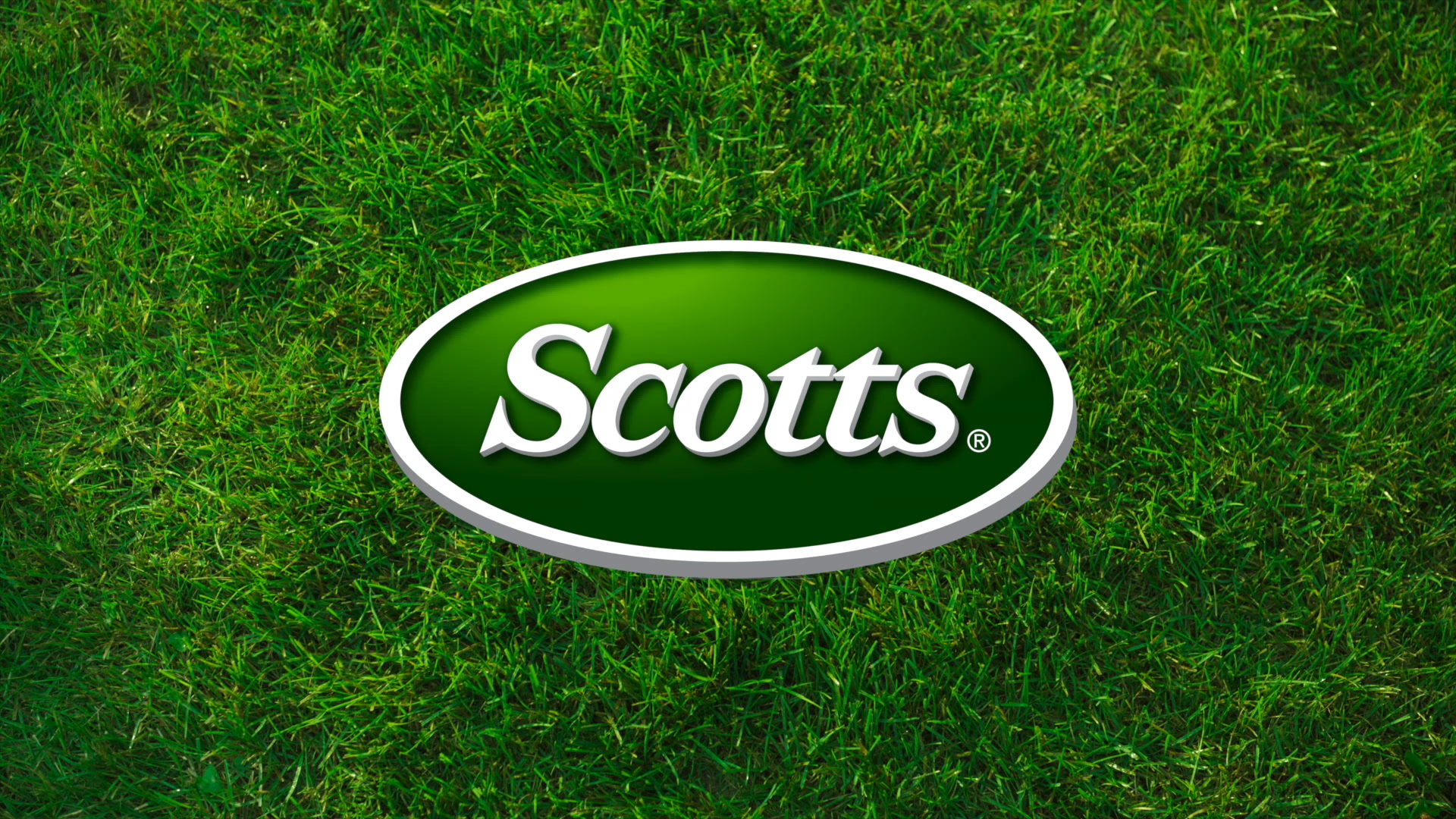 Turf Builder - The Need To Feed - 30sec - ENG - v14 WEB-30mbps ARCHIVAL.00_00_00_00.Still001.png
