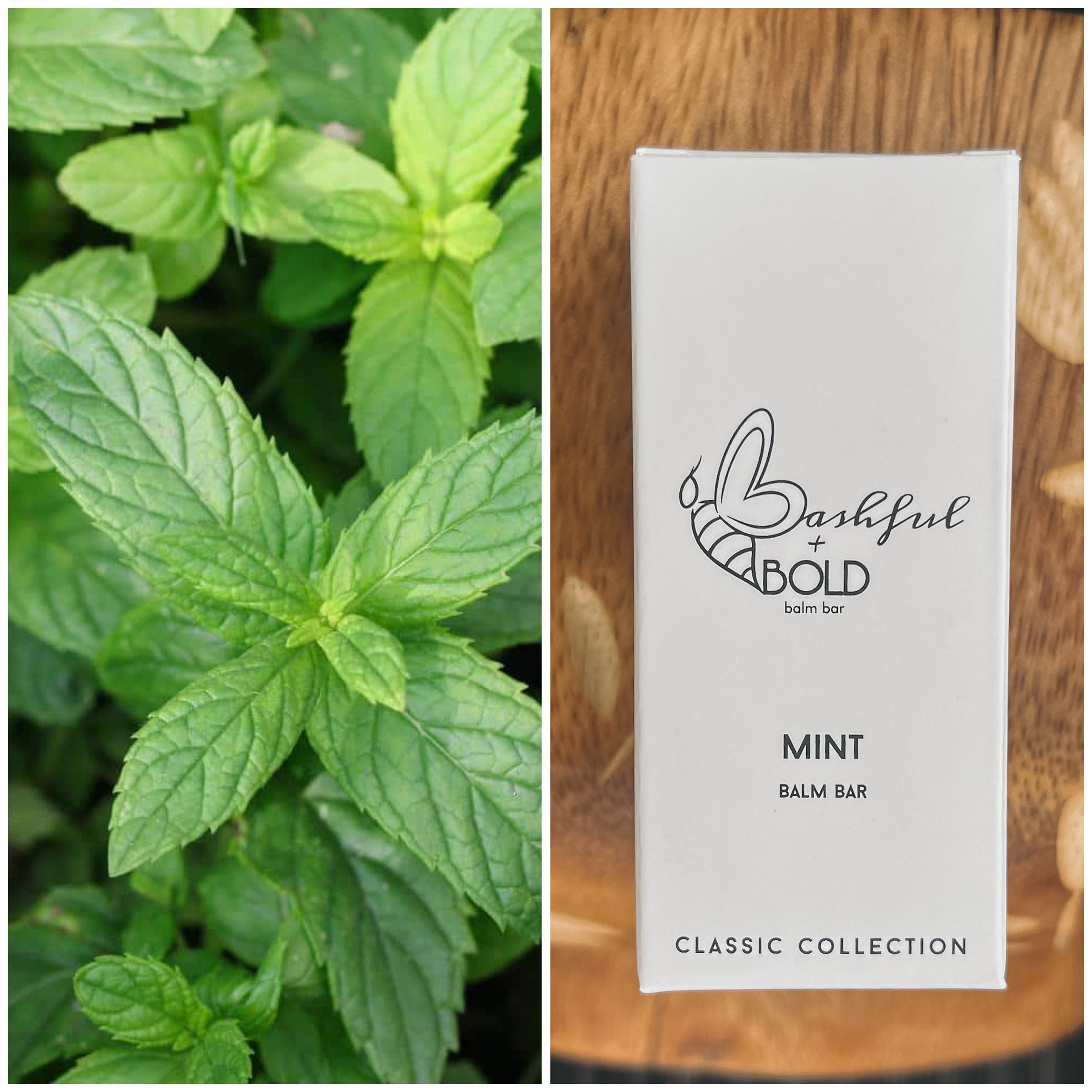 Mint Balm Bar- Natural Lip Balm