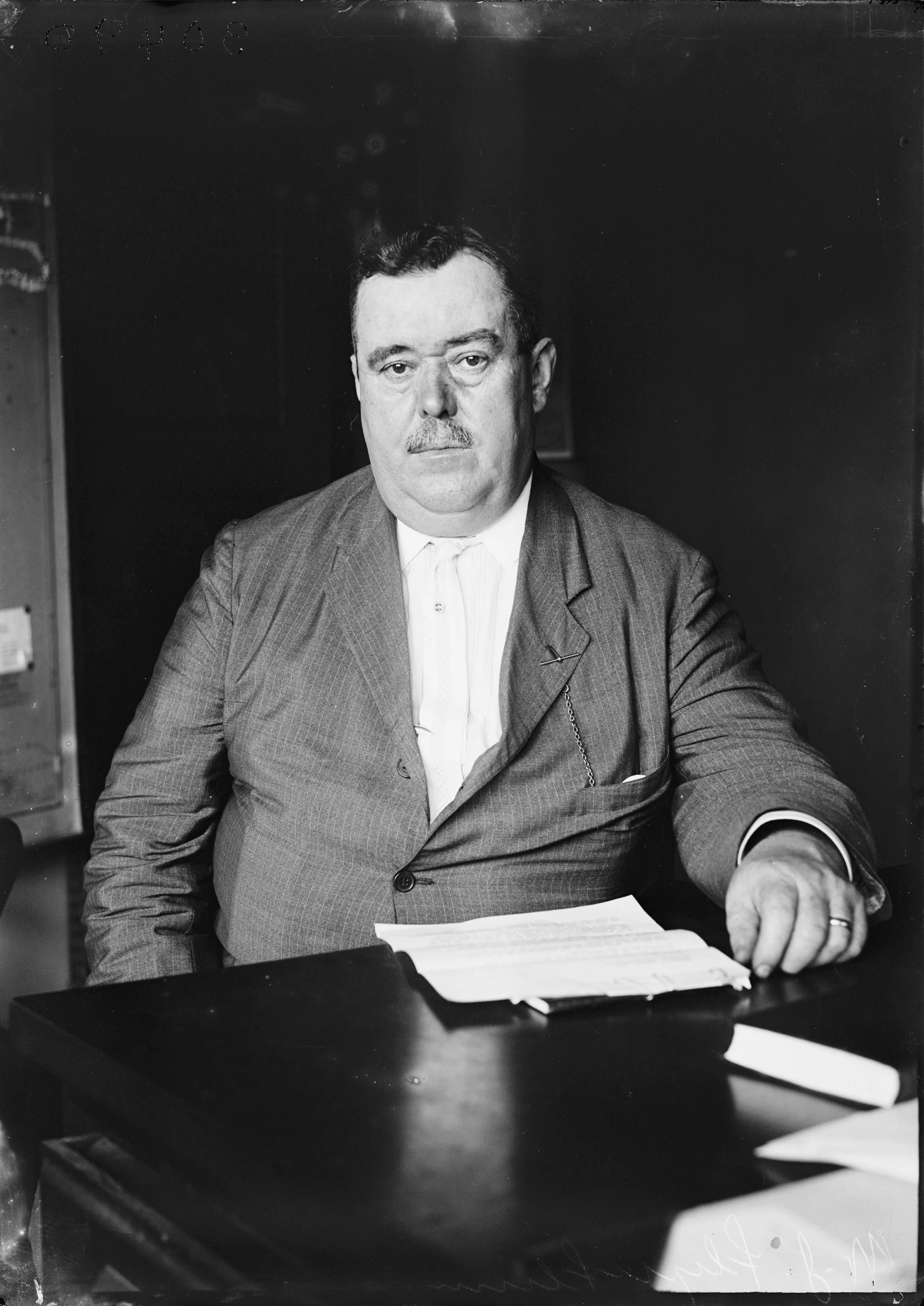 The Bulldog Detective by Jeffrey D. Simon