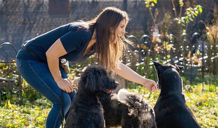 Trainer working outdoors with several black dogs during a supervised group training session.