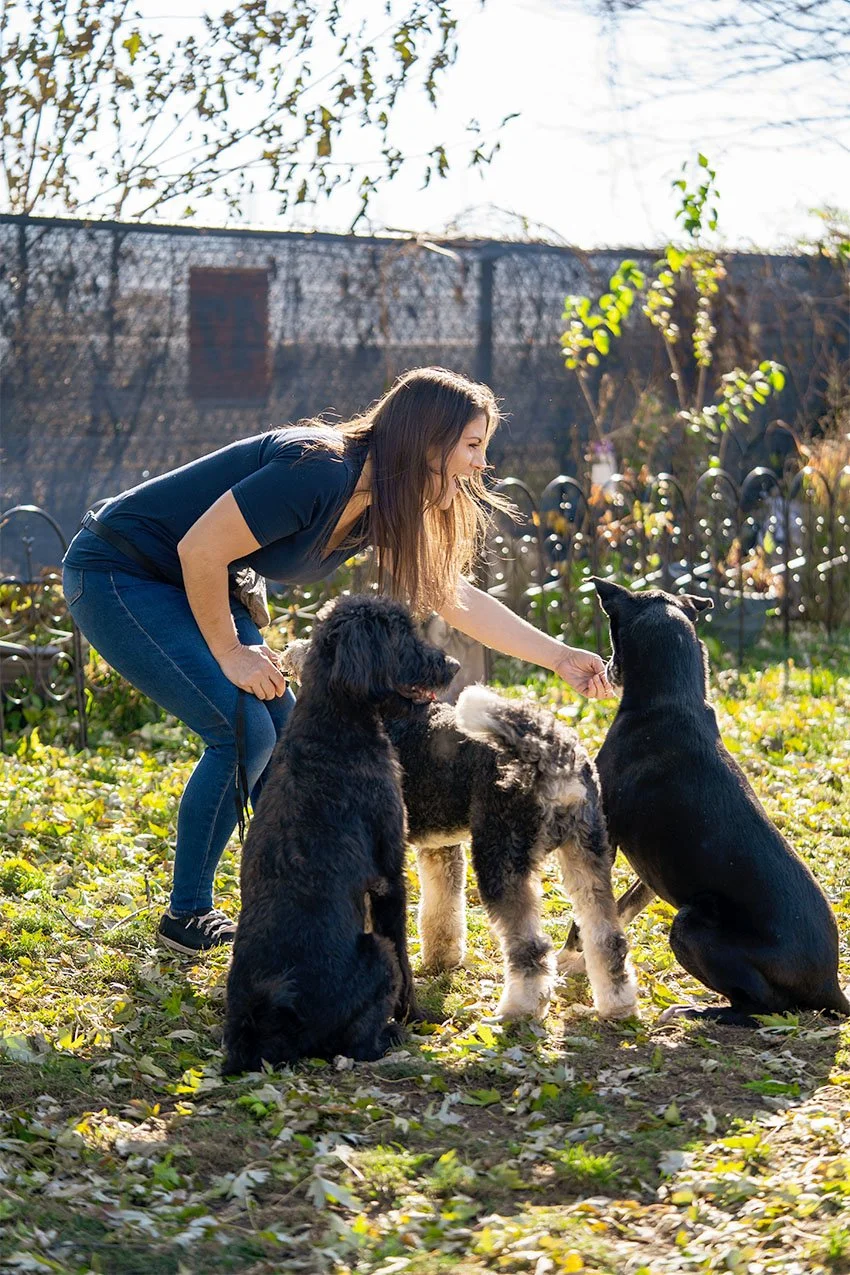 Dog trainer with her dogs in her obedience training facility in Plainfield