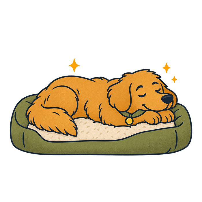 Illustration of a sleepy dog resting on a cozy bed, representing quiet downtime, comfort, and time to recharge during the day.