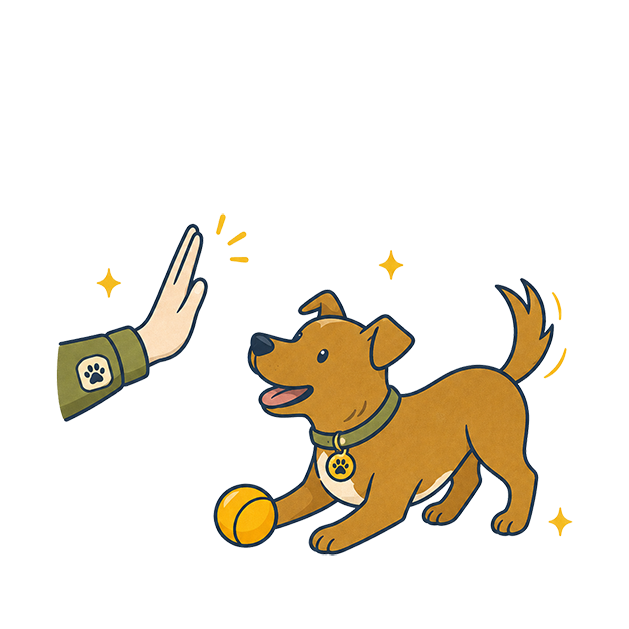 An illustration of a dog giving a high five to a human hand, with a ball nearby and a shiny background.