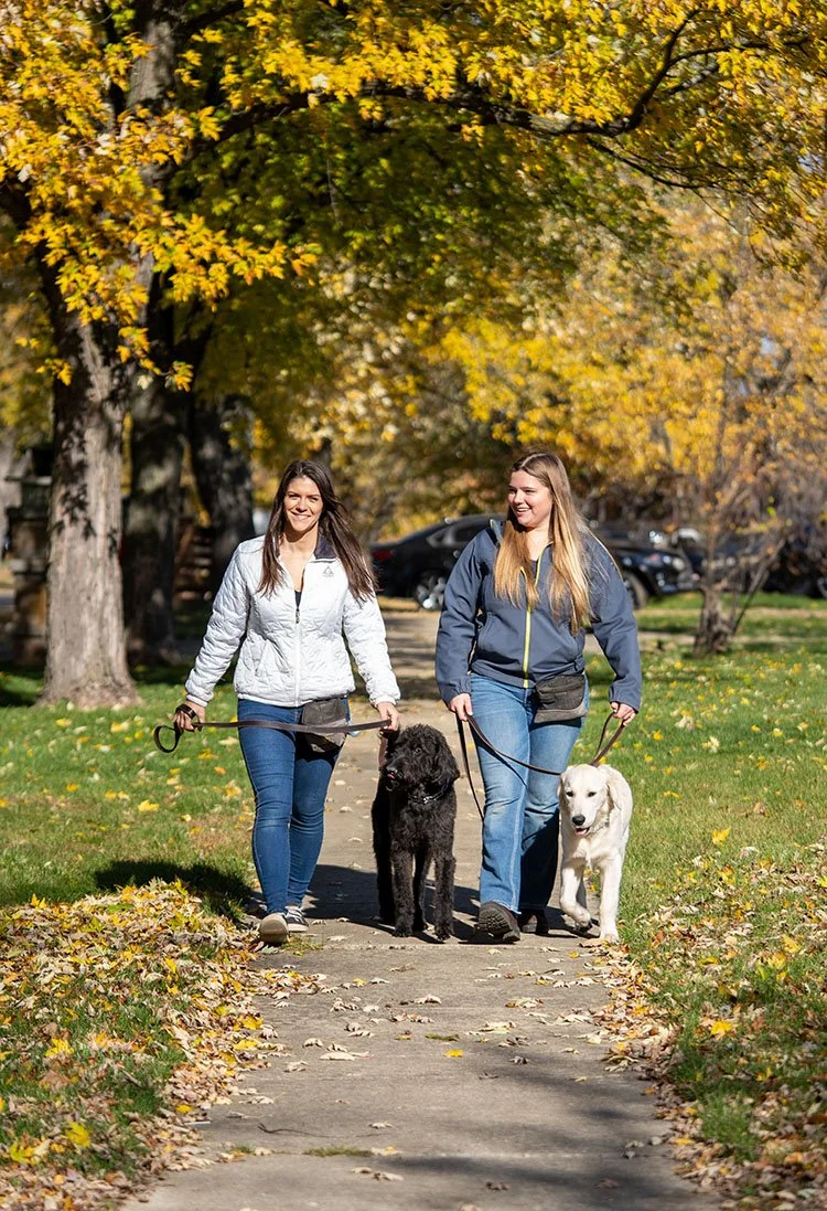 Plainfield dog trainer morning walks with the dogs