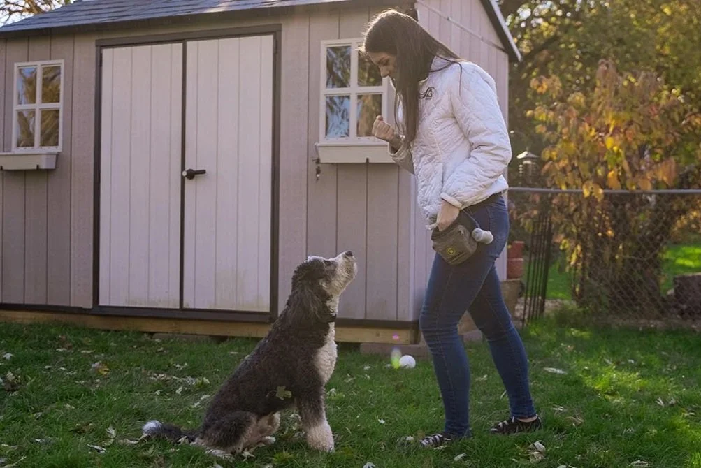 A woman training a dog in a grass field.
