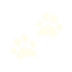 Faint, light-colored paw prints on a white background.