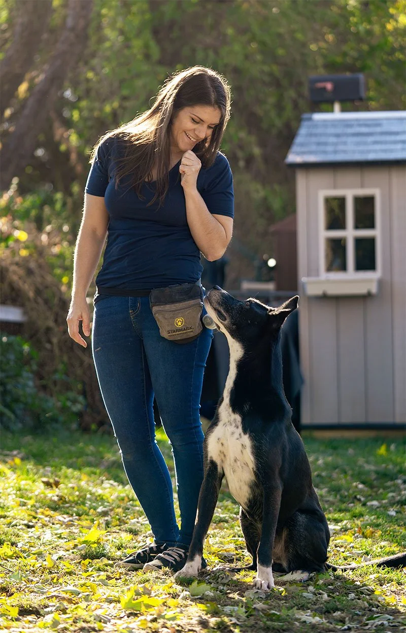 Plainfield dog trainer provides comprehensive training for dogs at new facility