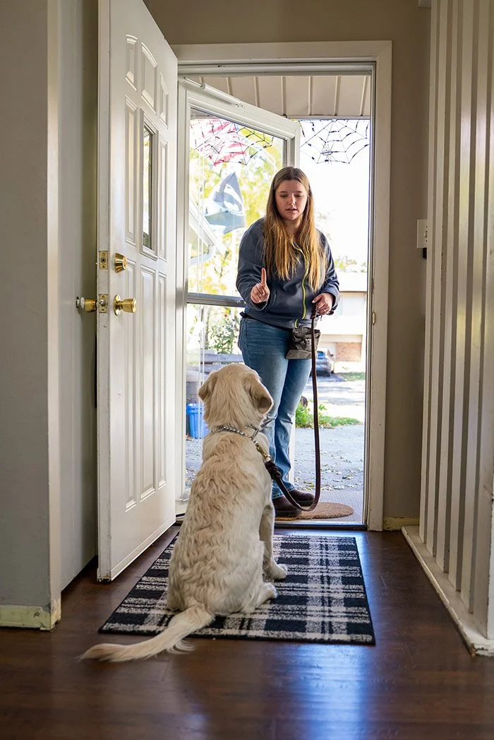 Professional dog trainer teaching obedience commands and front door manners