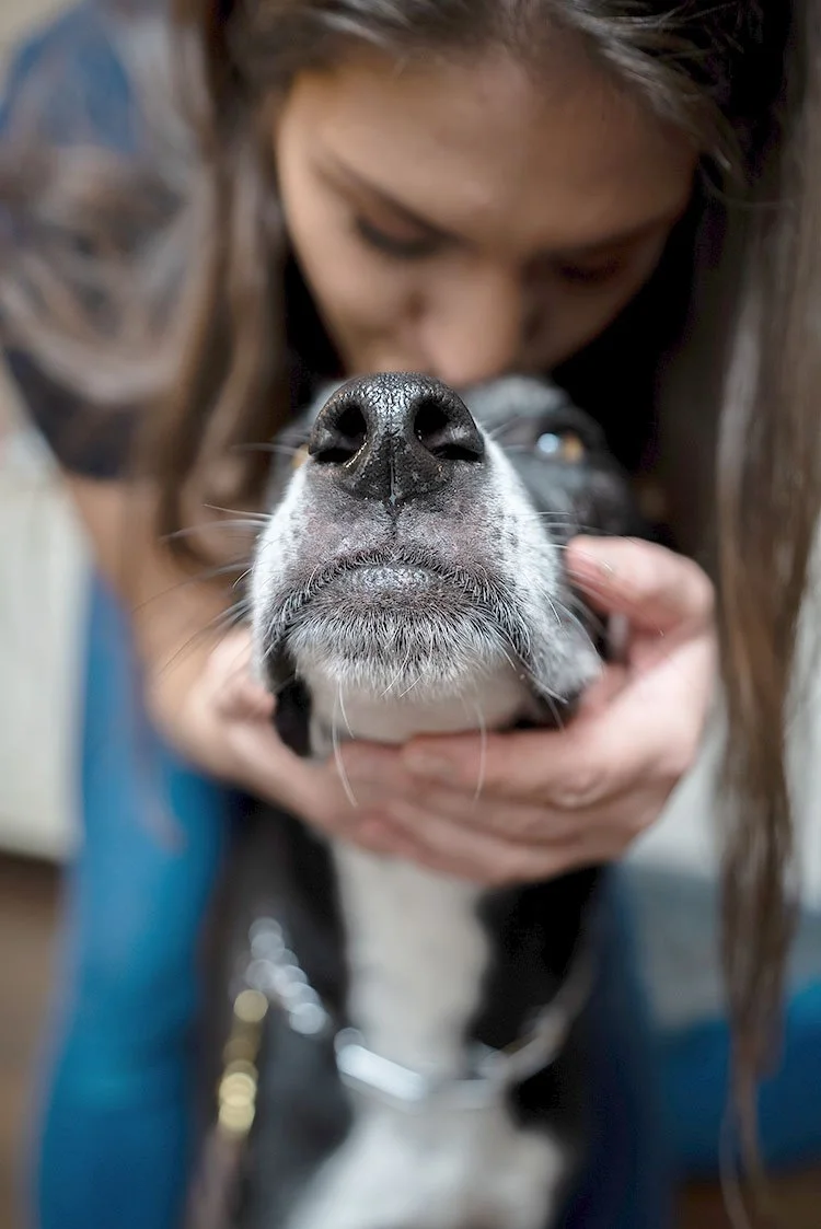 Close up of Andrea and her dog training facility in Plainfield