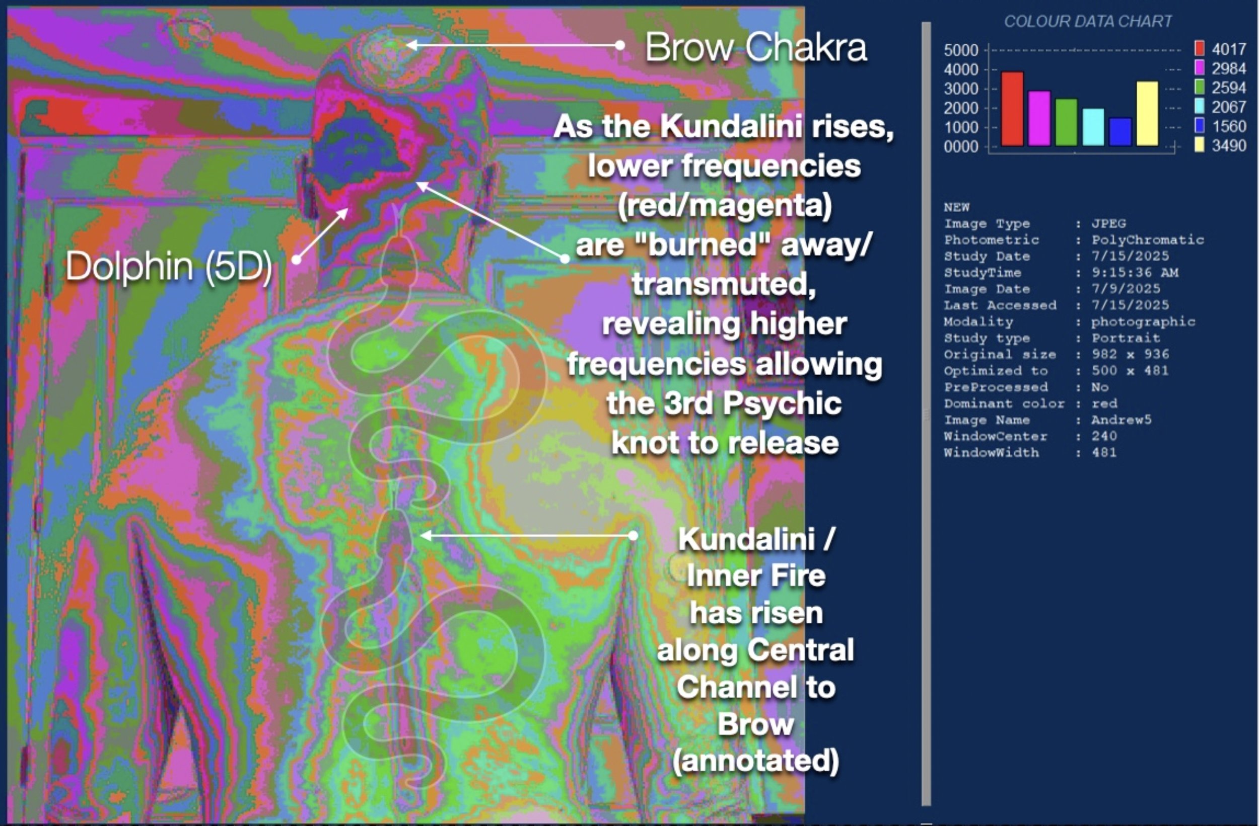 Energy Medicine at The Monroe Institute
