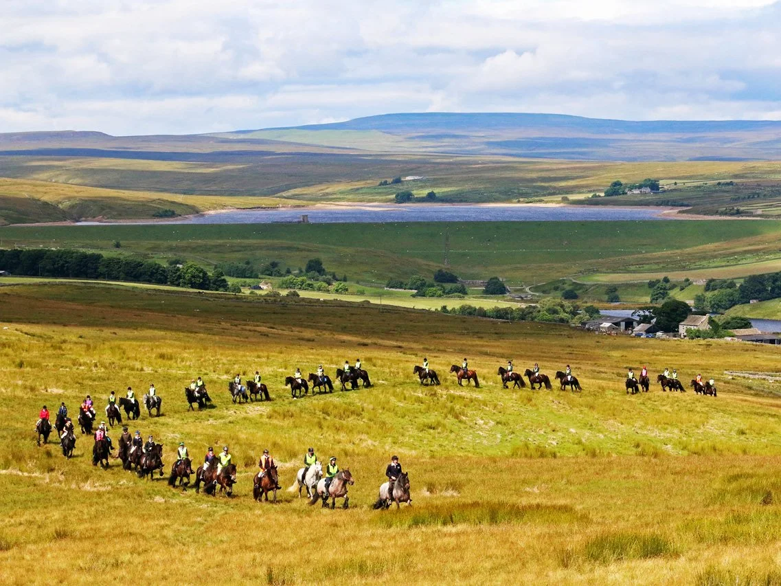 Dales Pony Society Centenary President's Ride, from Goldsborough, 30/7/2016