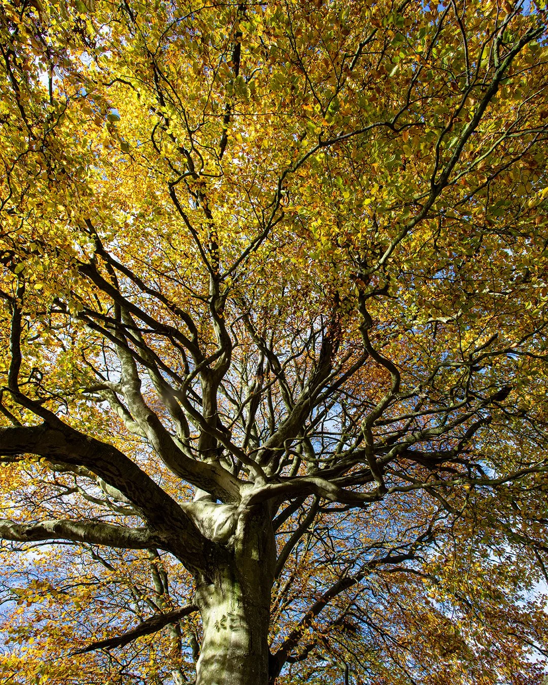 0C8A8302-HDR (1080x1350).jpg