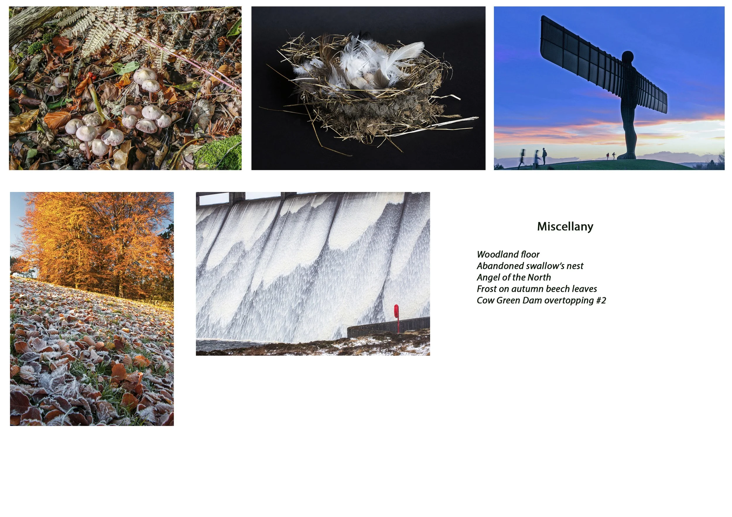 Greeting cards, Miscellany