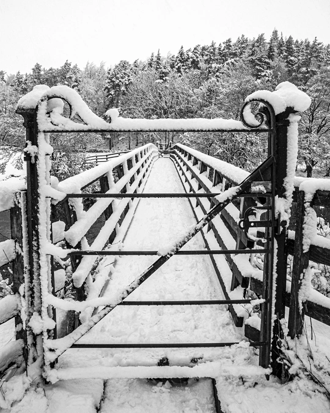Gate on Holwick Head Bridge in snow