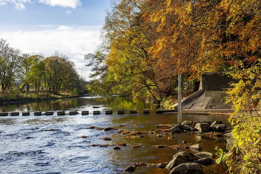 Stepping stones and ford, Stanhope