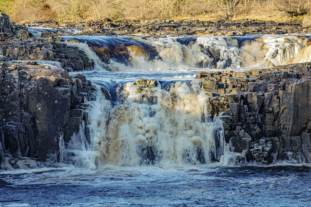 Low Force semi-frozen (4/1/2026)