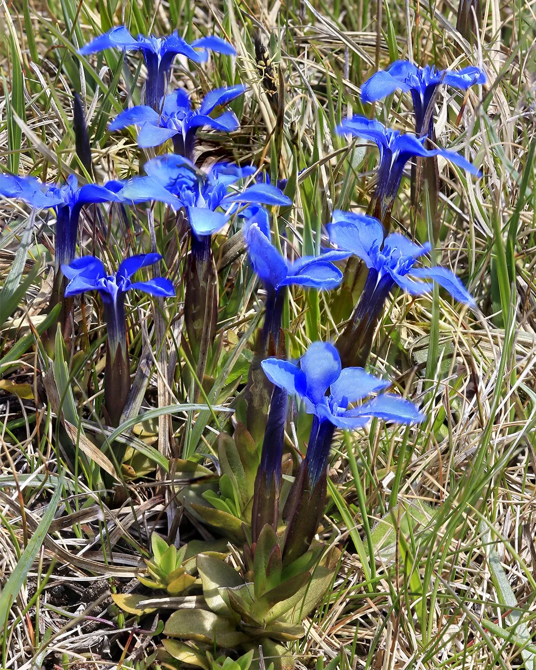 Stack (0703-0719).jpg