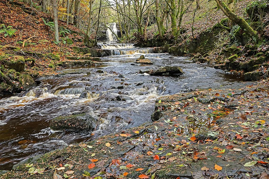 Bow Lee Beck and Summerhill Force, Autumn