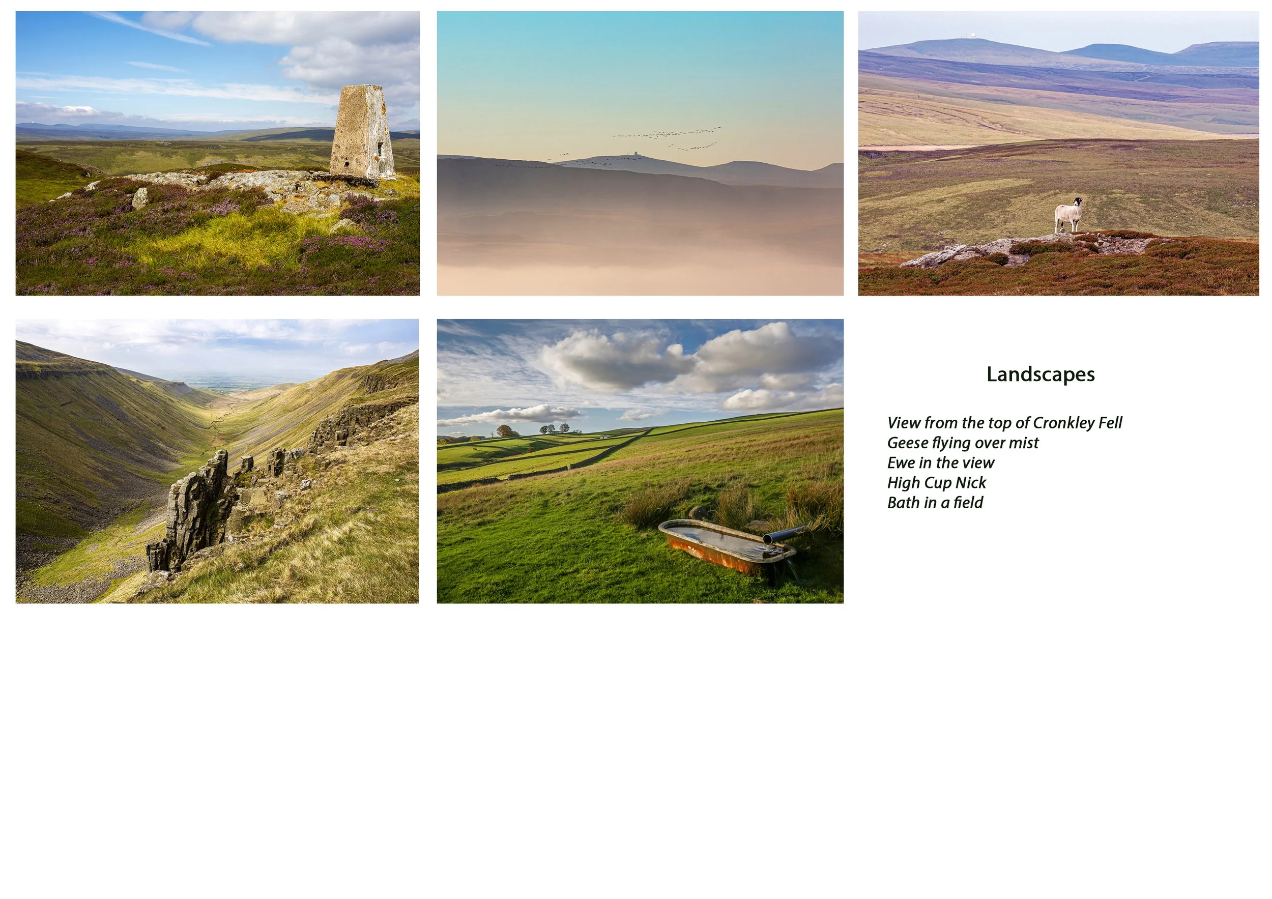 Greeting cards, Landscapes set #1