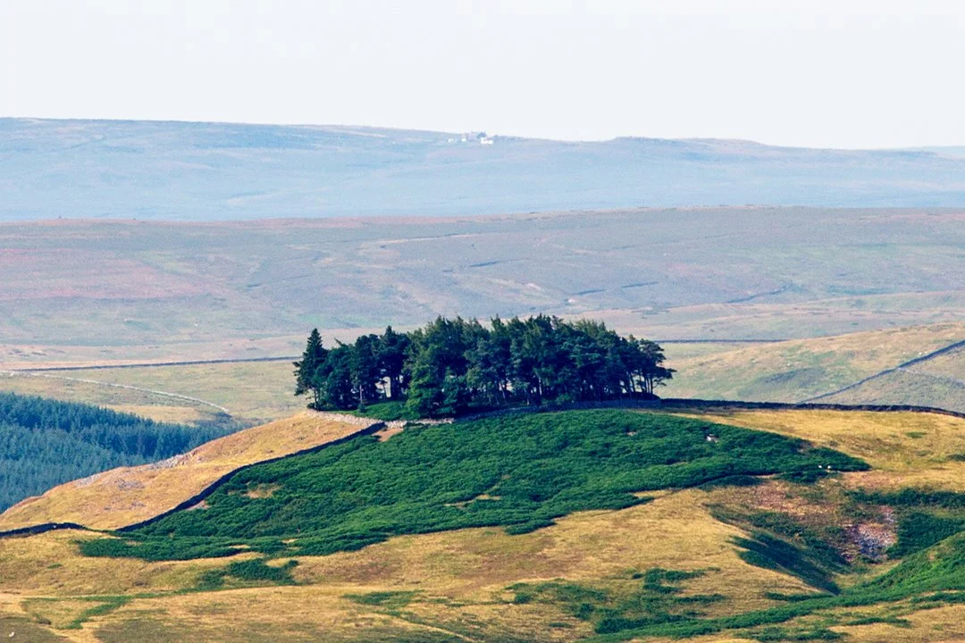 Kirkcarrion from Coldberry (with Tan Hill in the distance!)