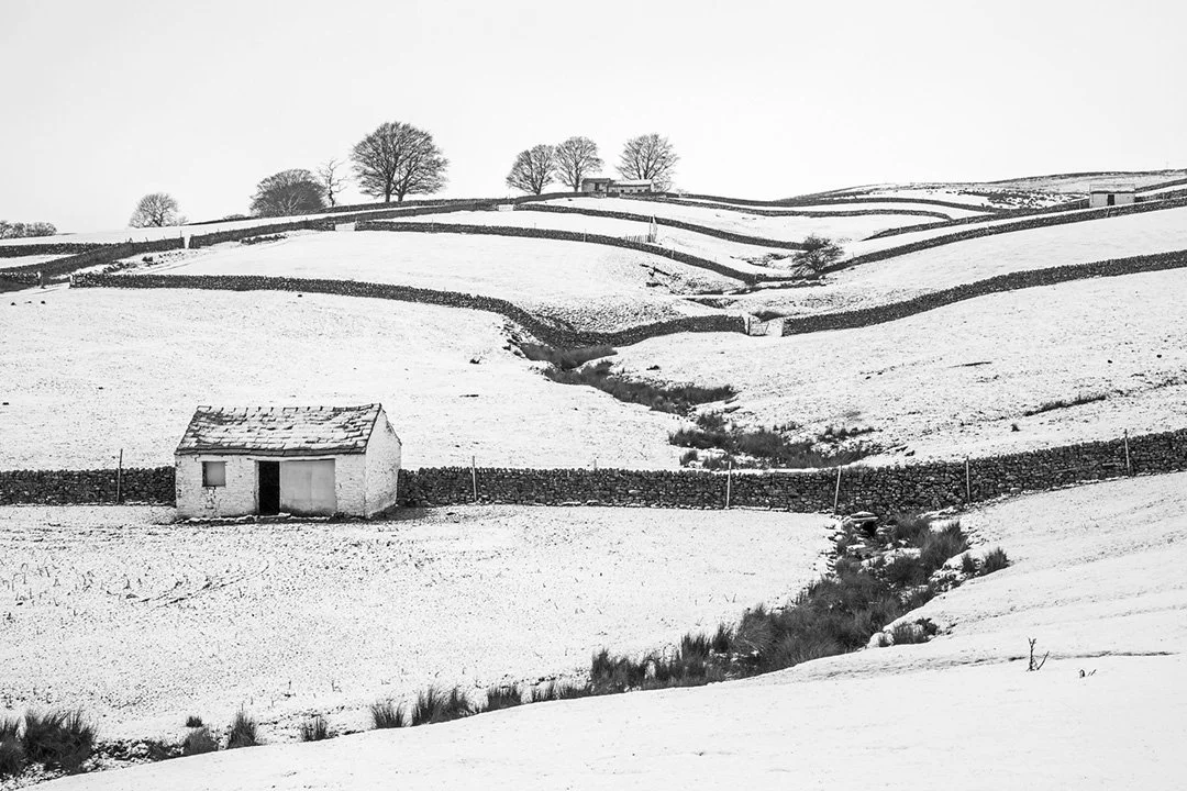 untitled-9518 (12x8).jpg