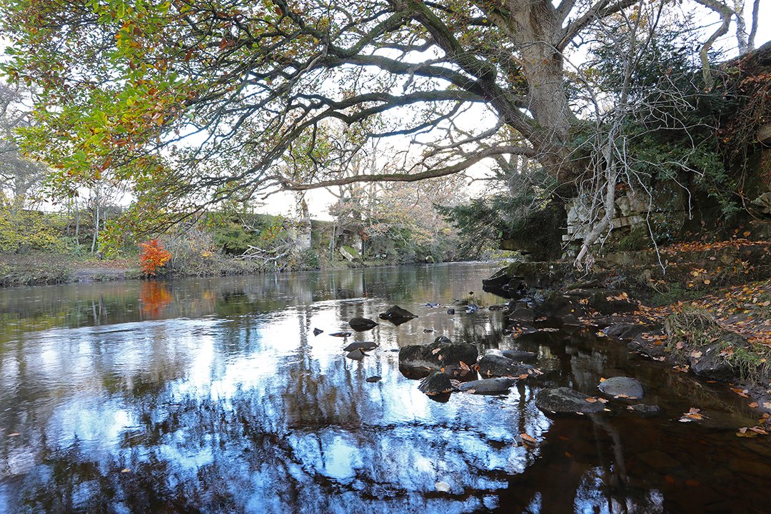 Just upstream from Cotherstone Bridge