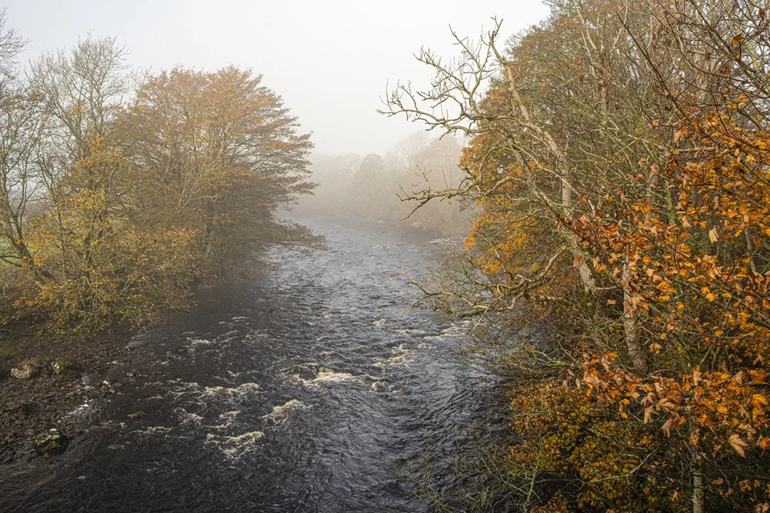 The Tees in mist from Middleton Bridge