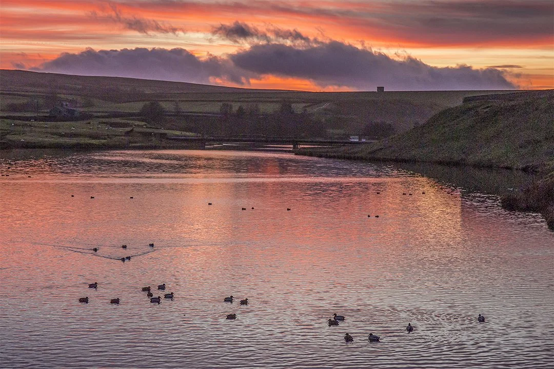 Balderhead Reservoir, Sunset