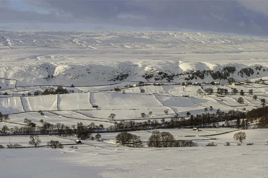 Landscapes with snow