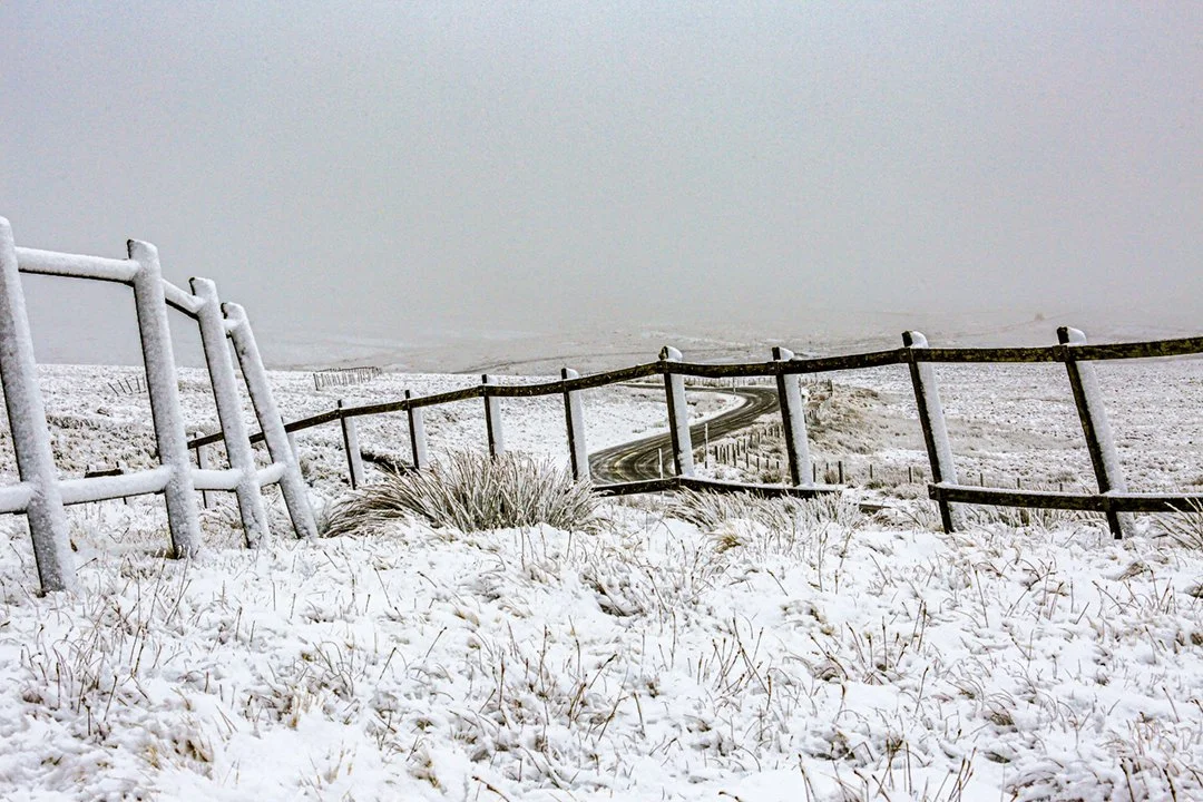 Snow fence at Harwood Common #2