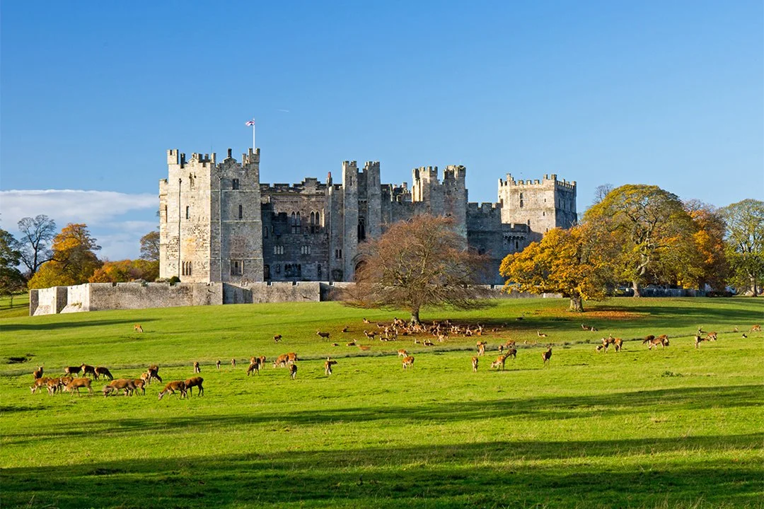 Raby Castle and deer park