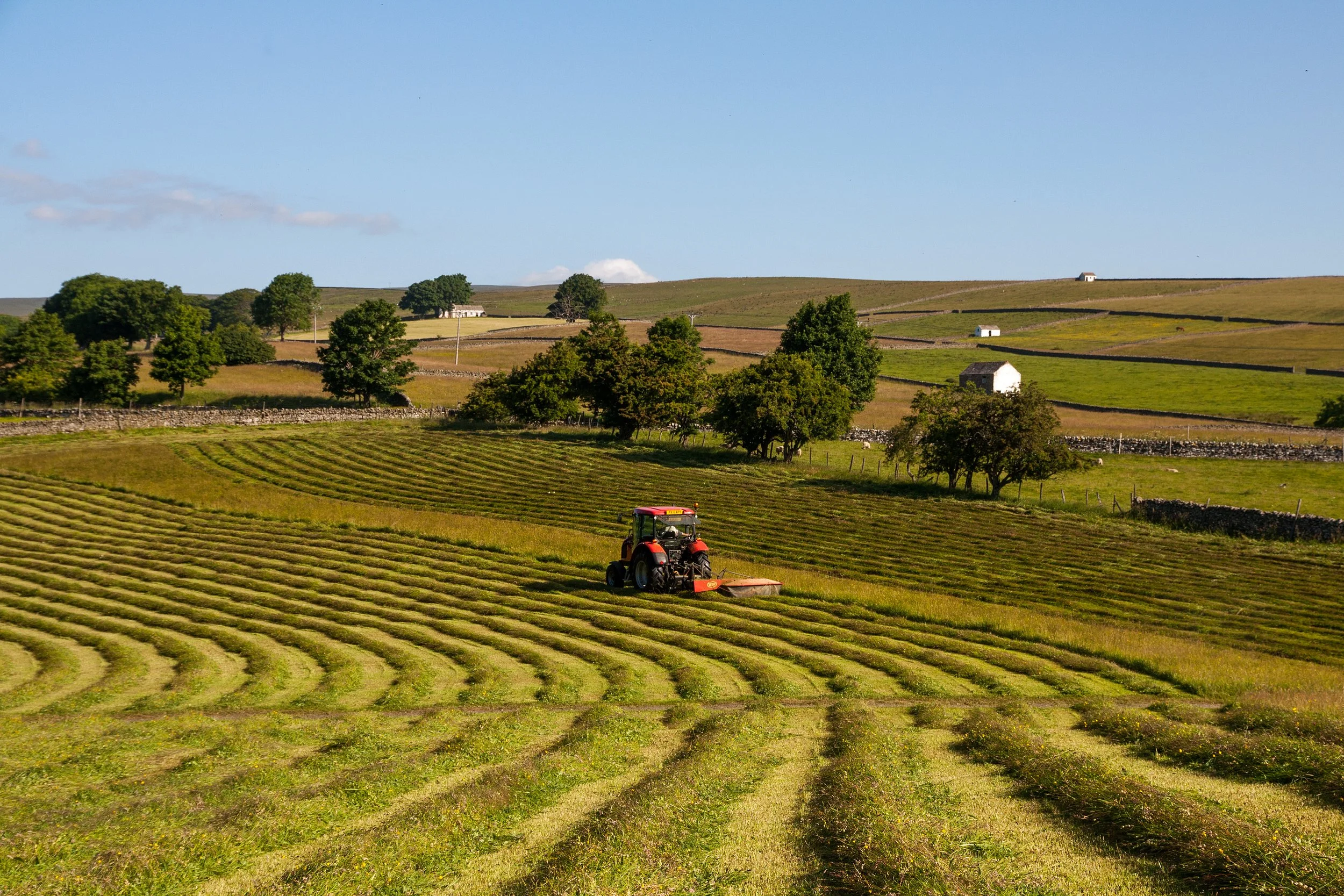 Agriculture: activities, livestock,  structures and the Mart
