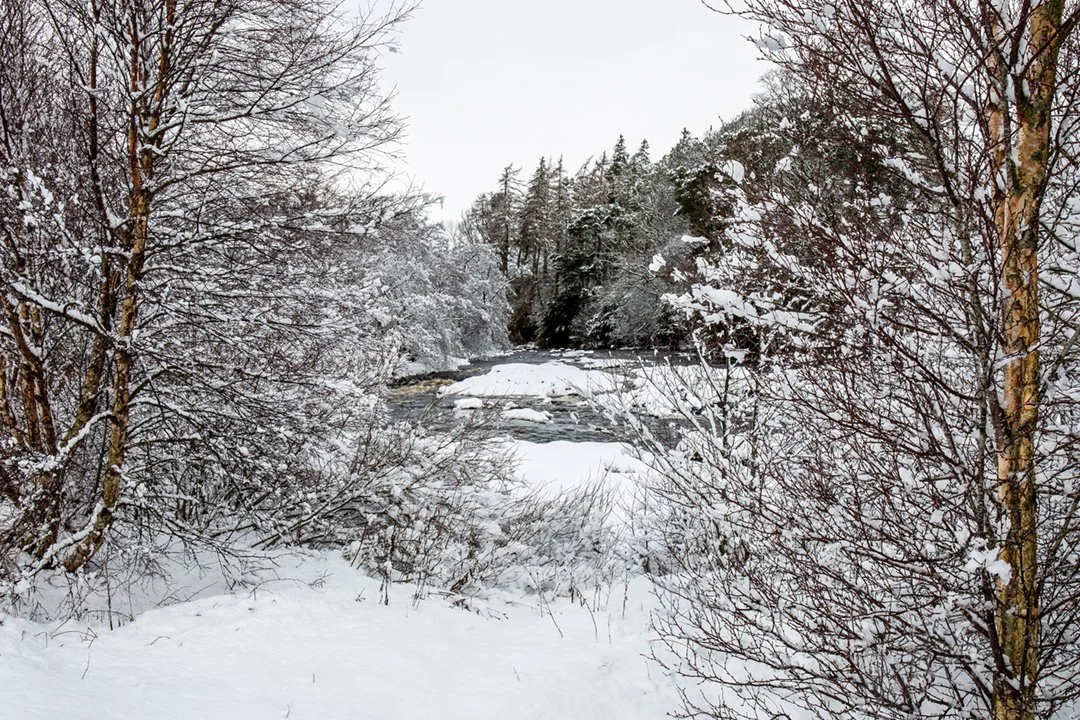 The Tees in winter, downstream from Wynch Bridge