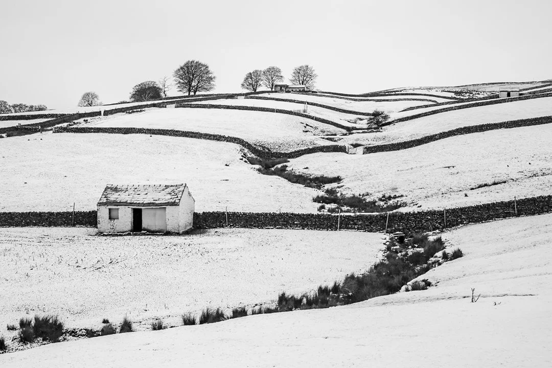 White barns in snowy landscape, Bowlees
