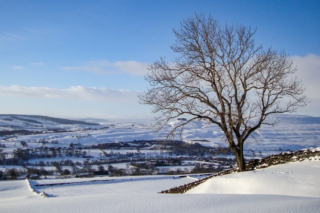View over Middleton from Stanhope Road