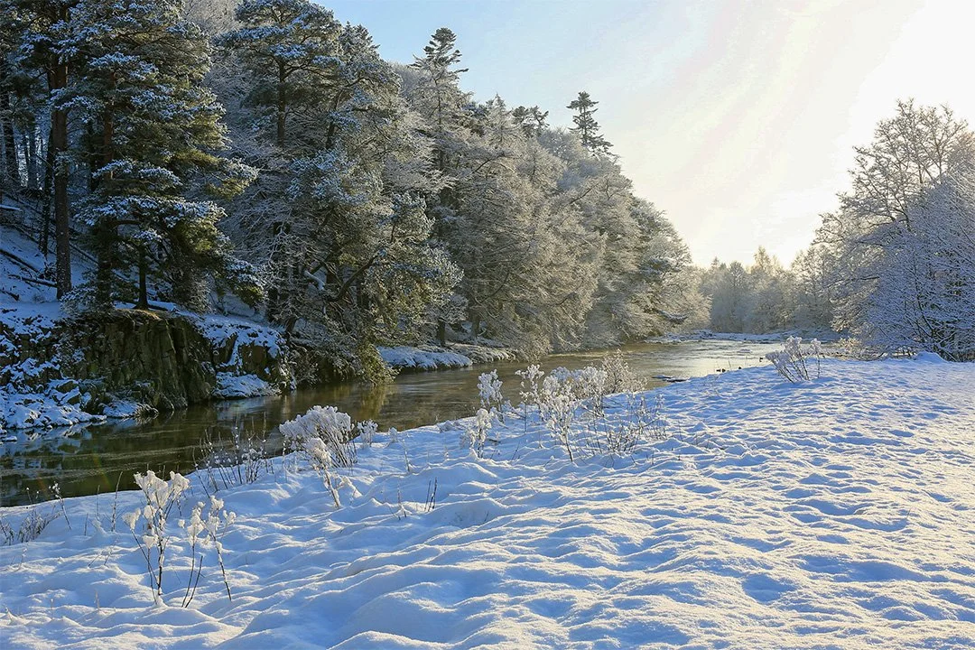 Wynch Bank Plantation in winter