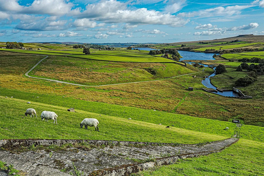 Baldersdale, with Blackton and Hury reservoirs