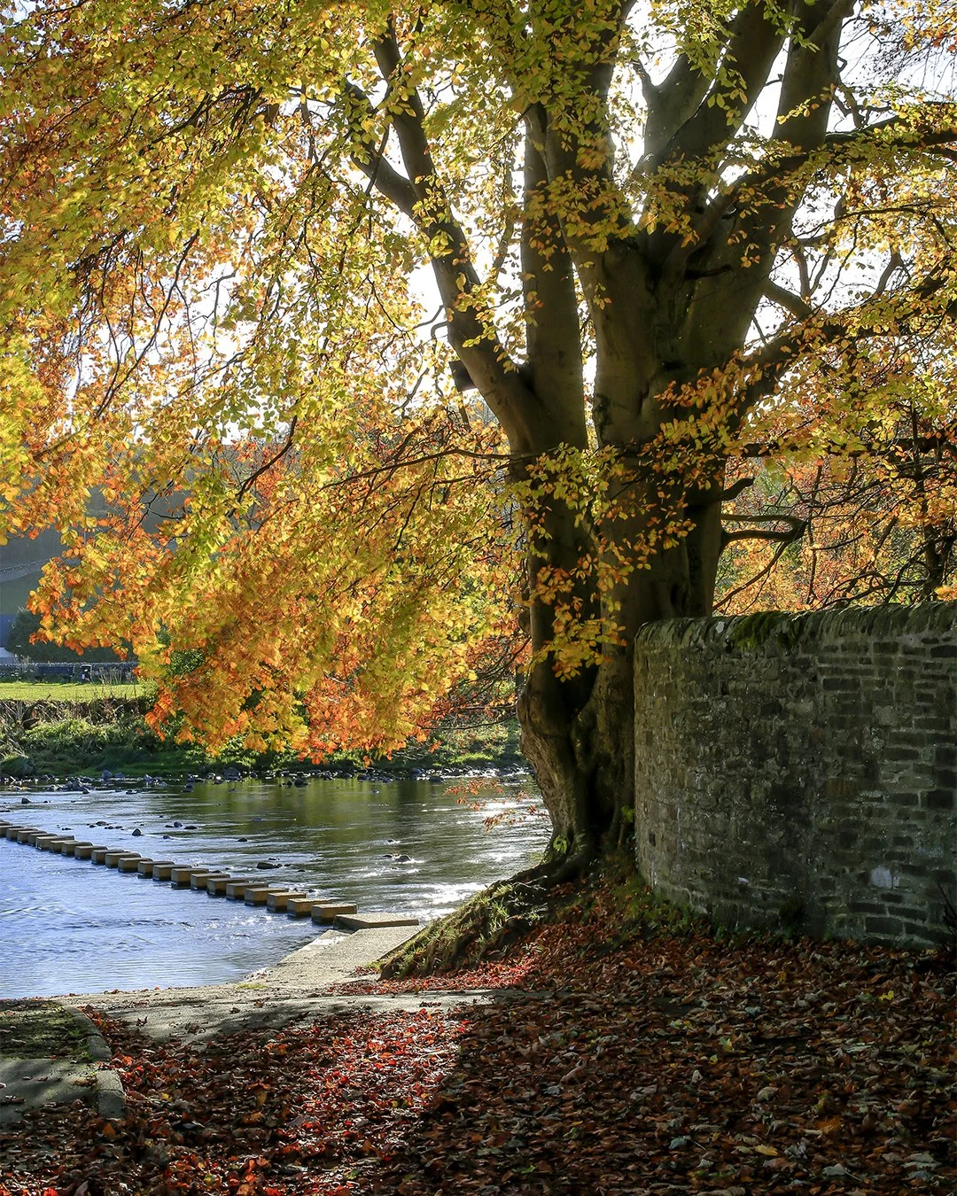Stepping stones and ford, Stanhope #2