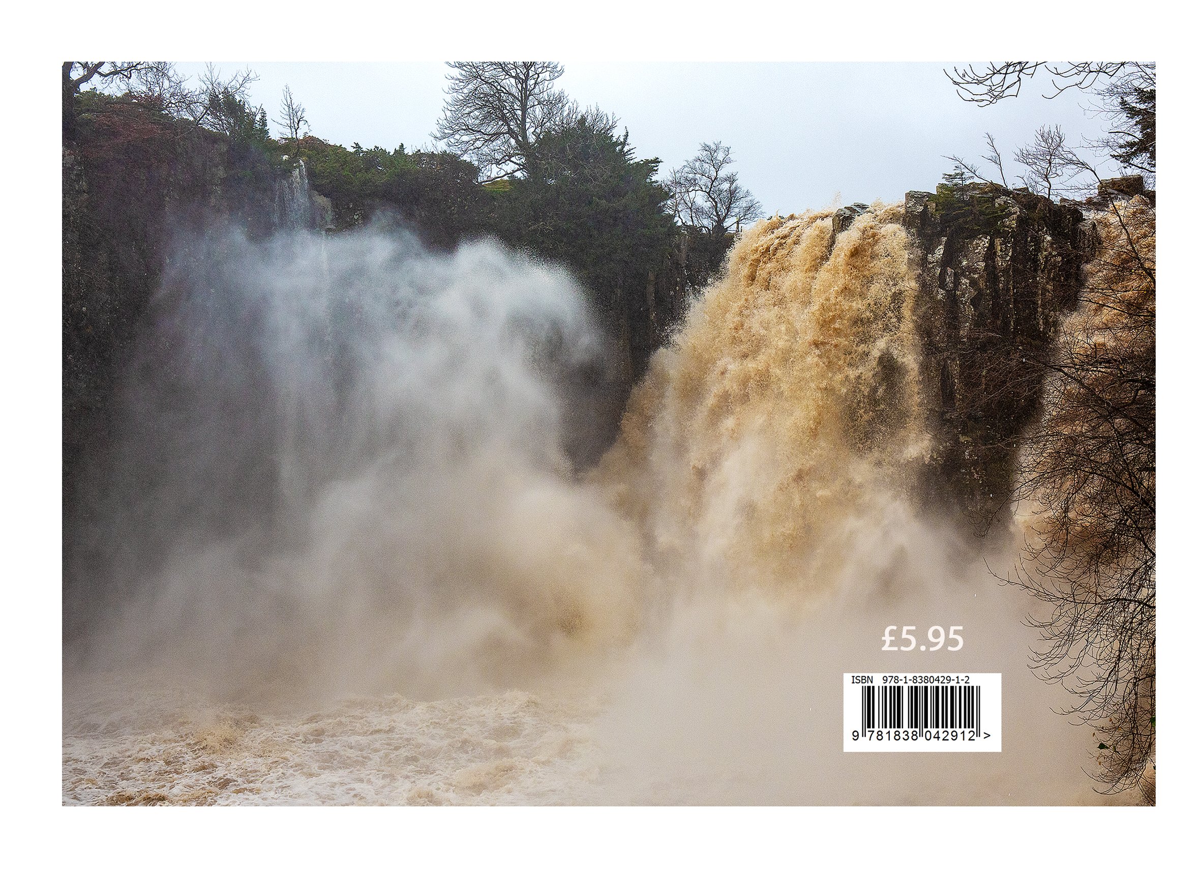 40 Back cover.jpg