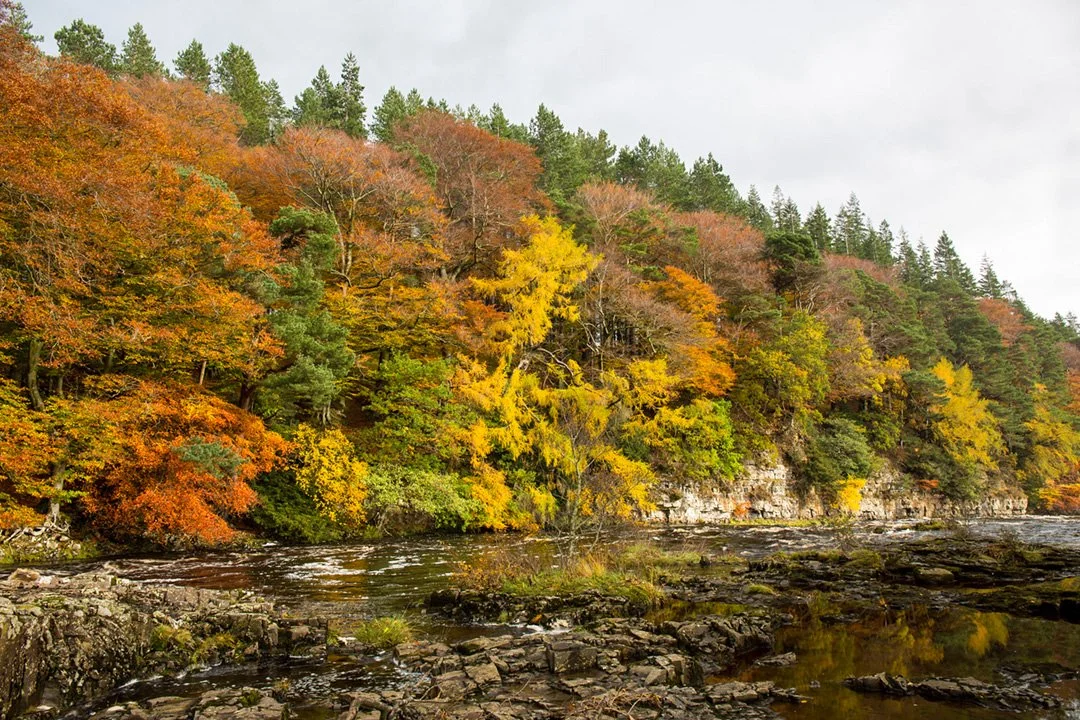 The small cliffs along Wynch Bank Plantation