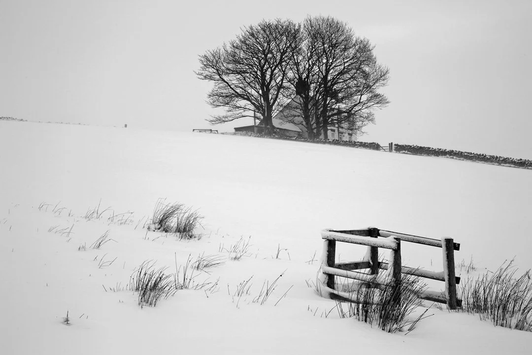 Snow scene at Forest