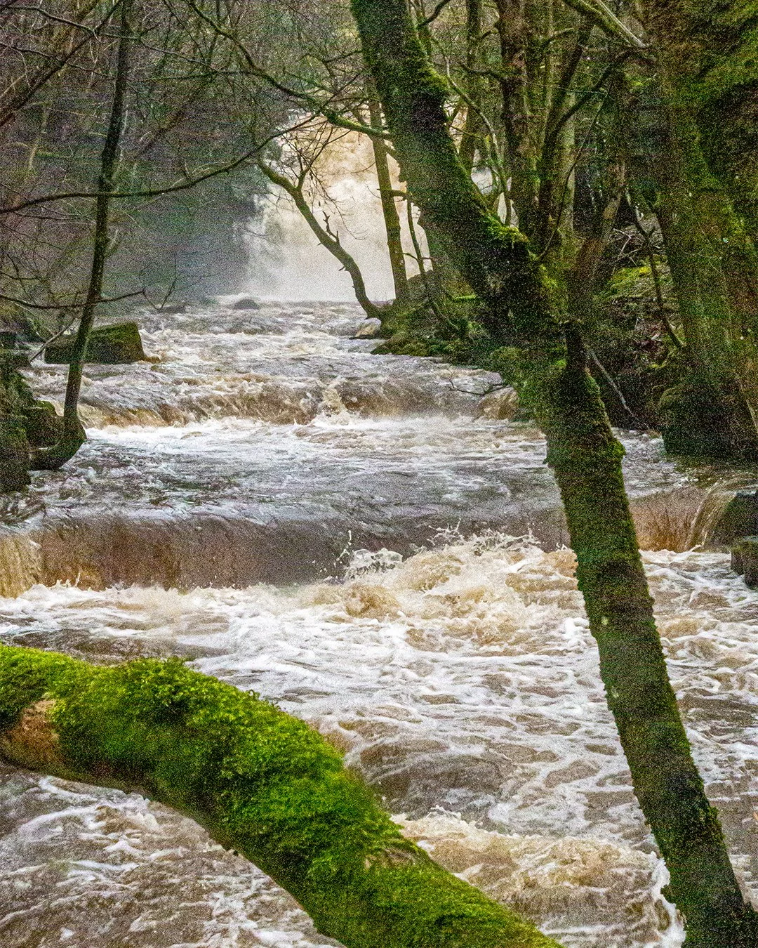 Bow Lee Beck and Summerhill Force in spate #2 