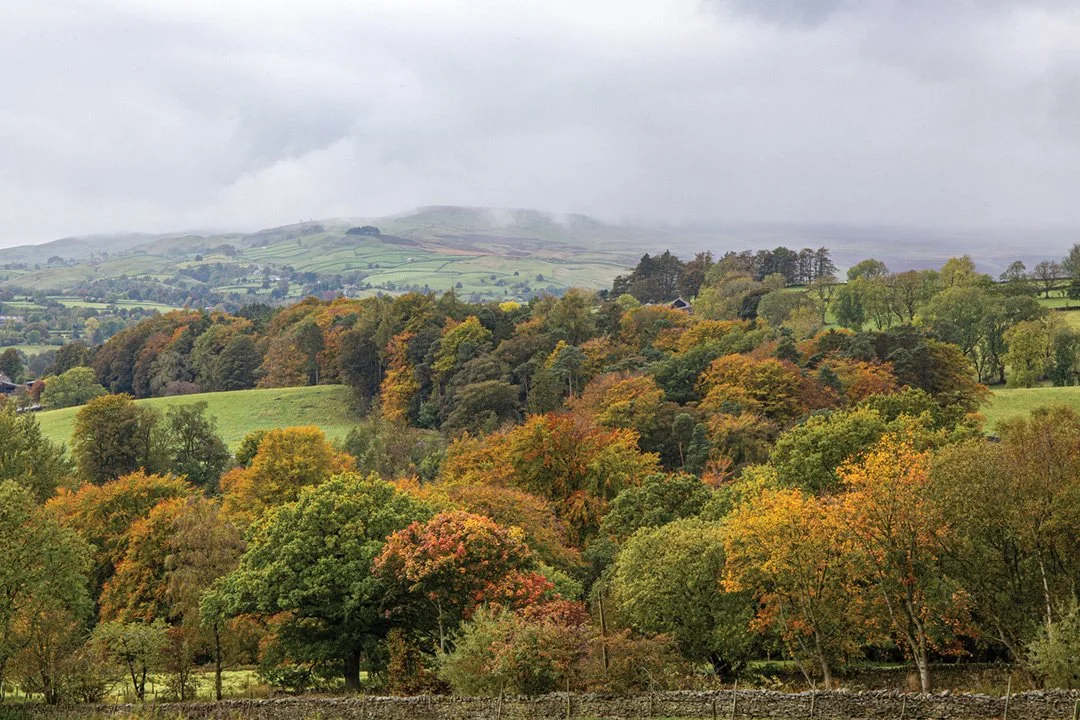 A misty autumn morning from Eggleston towards Kirkcarrion