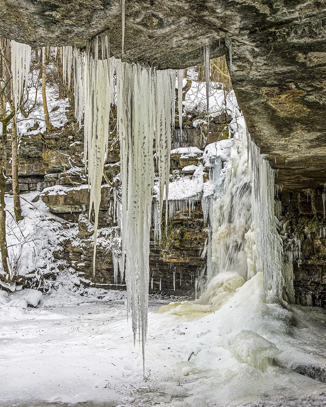 Summerhill Force frozen (3/3/2018) #2