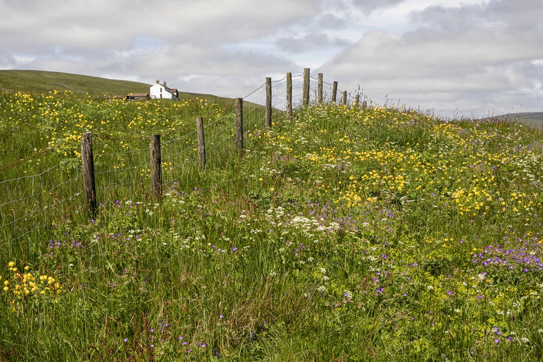 0C8A2474 (40x30).jpg