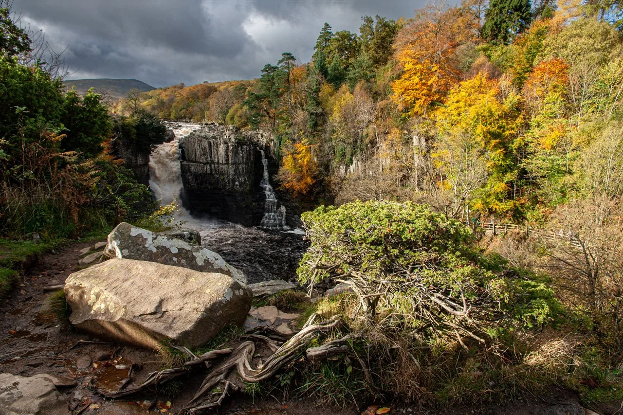 High Force with Juniper tree and rocks
(since removed)