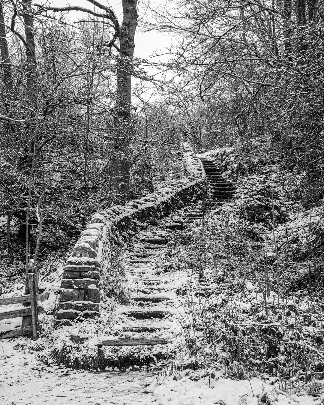 Steps at Bowlees Quarry (B&W)