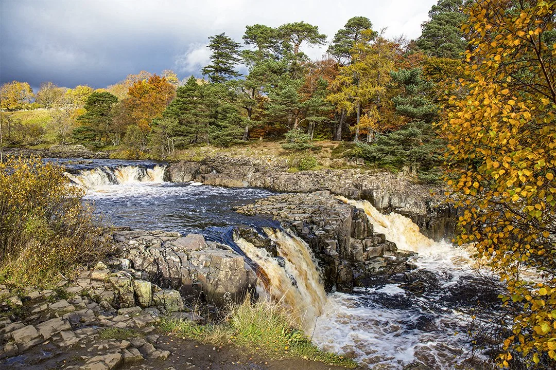 Low Force, Autumn #3 (4/11/2016)